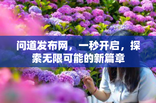 问道发布网，一秒开启，探索无限可能的新篇章