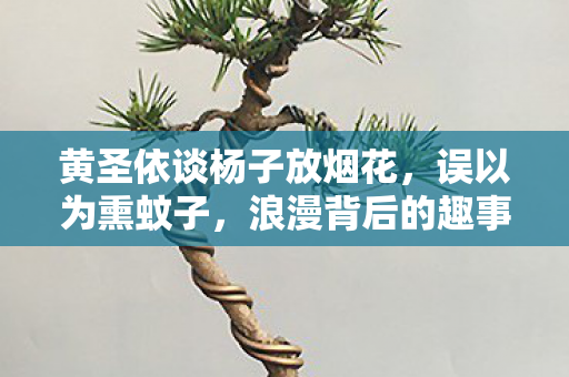 黄圣依谈杨子放烟花，误以为熏蚊子，浪漫背后的趣事揭秘