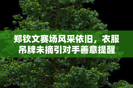 郑钦文赛场风采依旧，衣服吊牌未摘引对手善意提醒