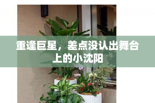 重逢巨星，差点没认出舞台上的小沈阳