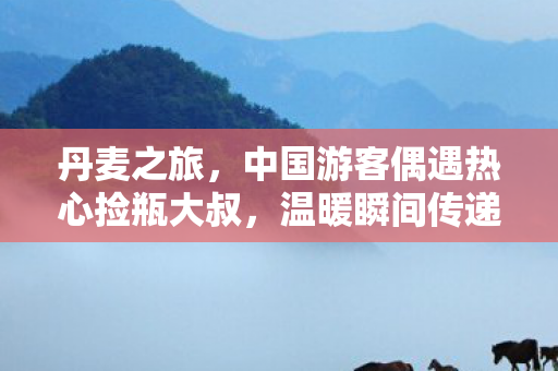 丹麦之旅，中国游客偶遇热心捡瓶大叔，温暖瞬间传递中丹友谊