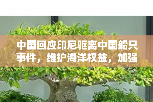 中国回应印尼驱离中国船只事件，维护海洋权益，加强沟通合作