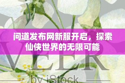 问道发布网新服开启，探索仙侠世界的无限可能