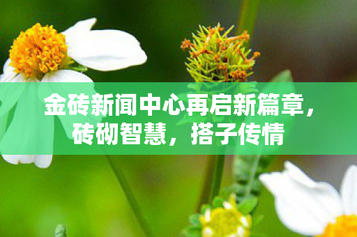 金砖新闻中心再启新篇章，砖砌智慧，搭子传情