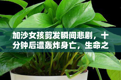 加沙女孩剪发瞬间悲剧，十分钟后遭轰炸身亡，生命之花瞬间凋零