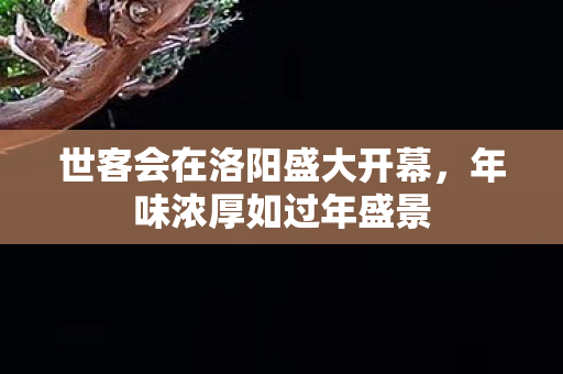 世客会在洛阳盛大开幕，年味浓厚如过年盛景