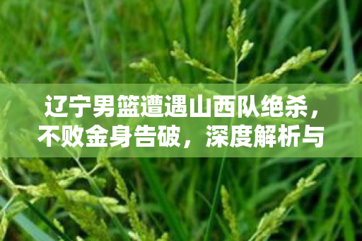辽宁男篮遭遇山西队绝杀，不败金身告破，深度解析与反思