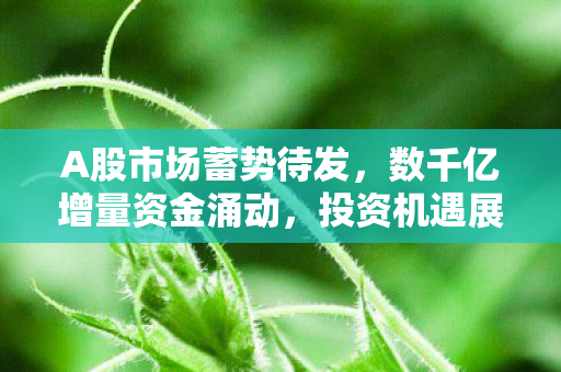 A股市场蓄势待发，数千亿增量资金涌动，投资机遇展望