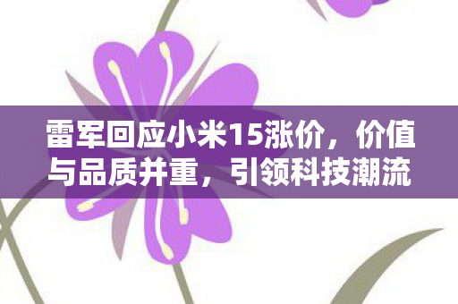 雷军回应小米15涨价，价值与品质并重，引领科技潮流的决策
