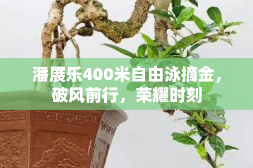 潘展乐400米自由泳摘金，破风前行，荣耀时刻