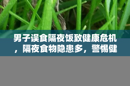 男子误食隔夜饭致健康危机，隔夜食物隐患多，警惕健康警报