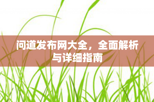 问道发布网大全，全面解析与详细指南