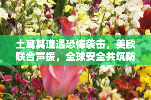 土耳其遭遇恐怖袭击，美欧联合声援，全球安全共筑防线