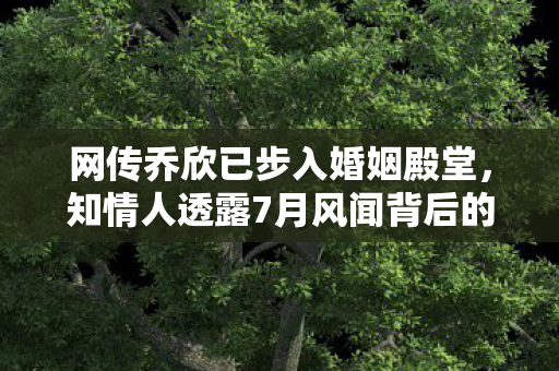 网传乔欣已步入婚姻殿堂，知情人透露7月风闻背后的真相