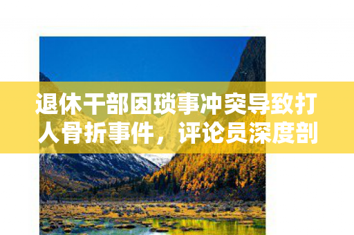 退休干部因琐事冲突导致打人骨折事件，评论员深度剖析与反思