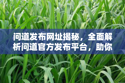 问道发布网址揭秘，全面解析问道官方发布平台，助你轻松掌握最新动态