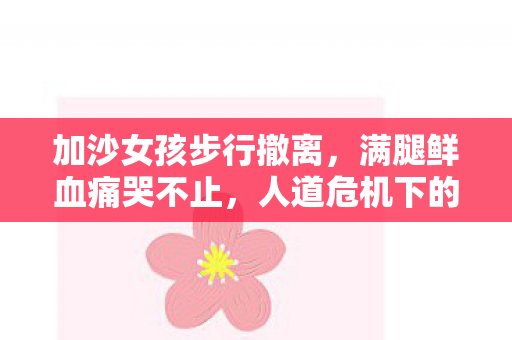 加沙女孩步行撤离，满腿鲜血痛哭不止，人道危机下的艰难撤离