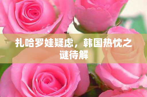 扎哈罗娃疑虑，韩国热忱之谜待解
