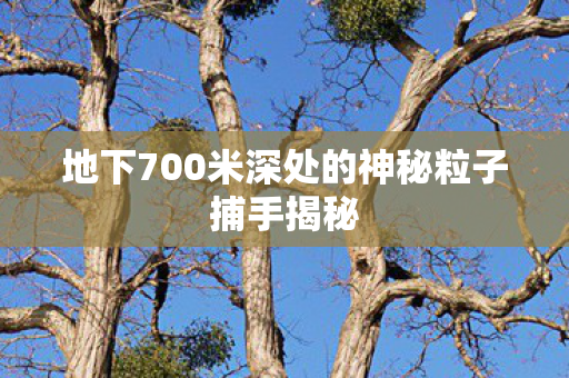 地下700米深处的神秘粒子捕手揭秘