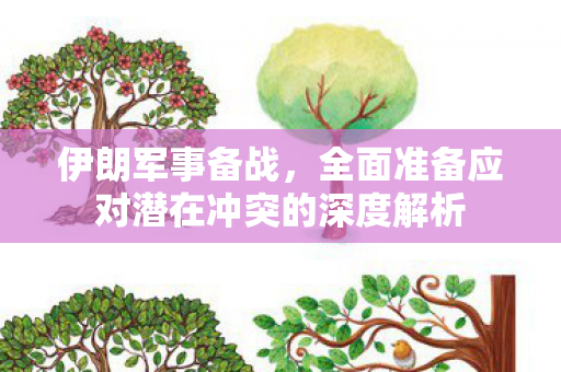 伊朗军事备战，全面准备应对潜在冲突的深度解析