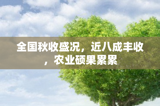 全国秋收盛况，近八成丰收，农业硕果累累