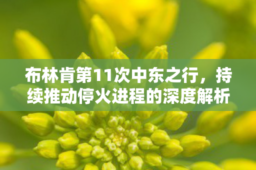布林肯第11次中东之行，持续推动停火进程的深度解析