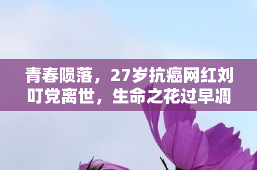 青春陨落，27岁抗癌网红刘叮党离世，生命之花过早凋谢