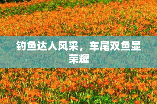 钓鱼达人风采，车尾双鱼显荣耀