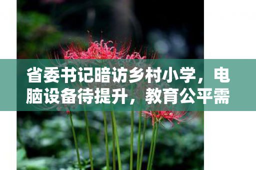 省委书记暗访乡村小学，电脑设备待提升，教育公平需持续关注