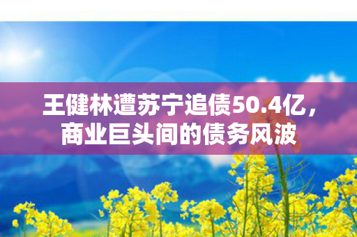 王健林遭苏宁追债50.4亿，商业巨头间的债务风波