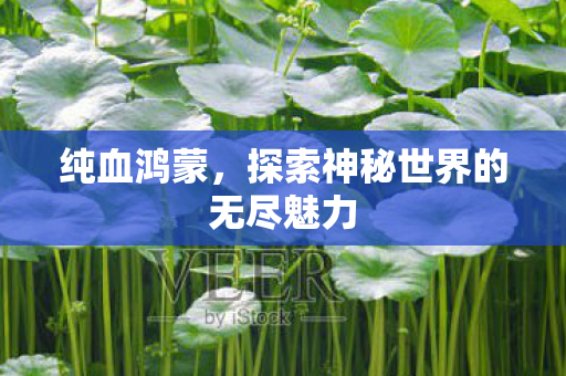 纯血鸿蒙，探索神秘世界的无尽魅力
