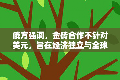 俄方强调，金砖合作不针对美元，旨在经济独立与全球治理革新