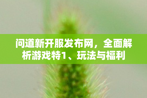 问道新开服发布网，全面解析游戏特1、玩法与福利