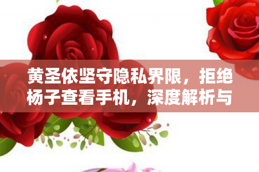 黄圣依坚守隐私界限，拒绝杨子查看手机，深度解析与探讨