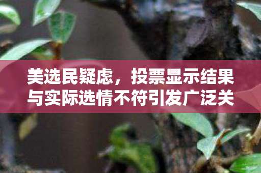 美选民疑虑，投票显示结果与实际选情不符引发广泛关注