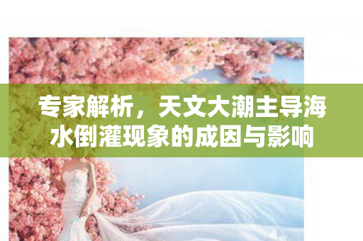 专家解析，天文大潮主导海水倒灌现象的成因与影响