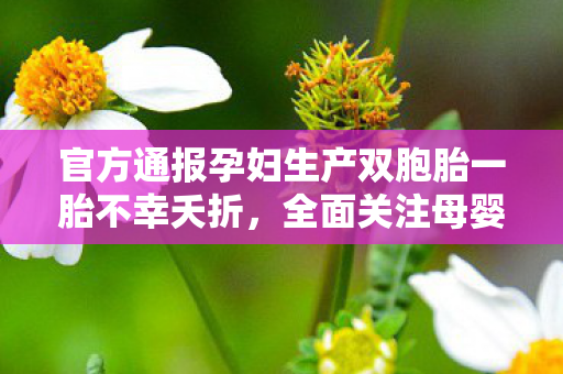 官方通报孕妇生产双胞胎一胎不幸夭折，全面关注母婴安全，深入剖析事件始末