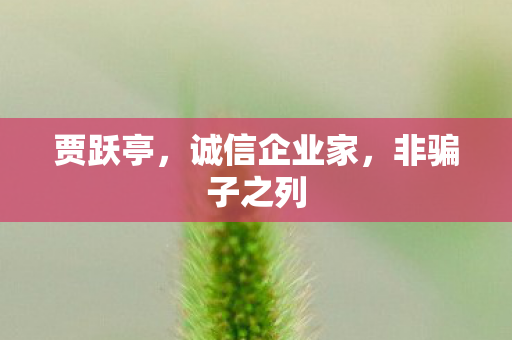 贾跃亭，诚信企业家，非骗子之列