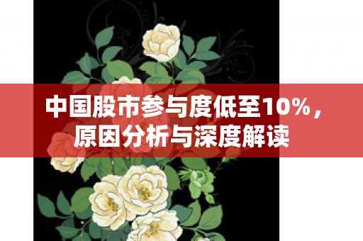 中国股市参与度低至10%，原因分析与深度解读