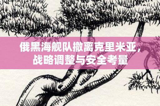 俄黑海舰队撤离克里米亚，战略调整与安全考量