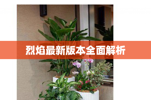 烈焰最新版本全面解析