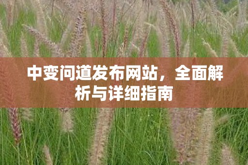 中变问道发布网站，全面解析与详细指南