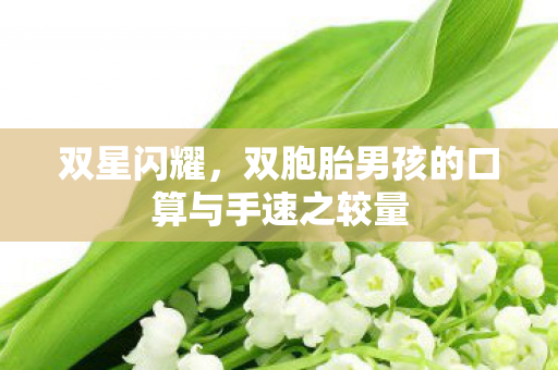 双星闪耀，双胞胎男孩的口算与手速之较量