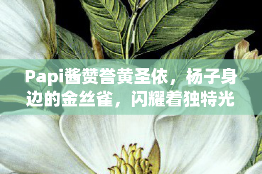 Papi酱赞誉黄圣依，杨子身边的金丝雀，闪耀着独特光芒