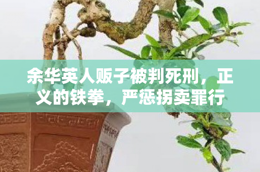 余华英人贩子被判死刑，正义的铁拳，严惩拐卖罪行
