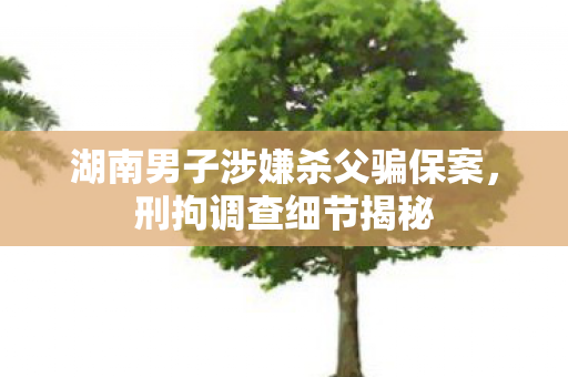 湖南男子涉嫌杀父骗保案，刑拘调查细节揭秘