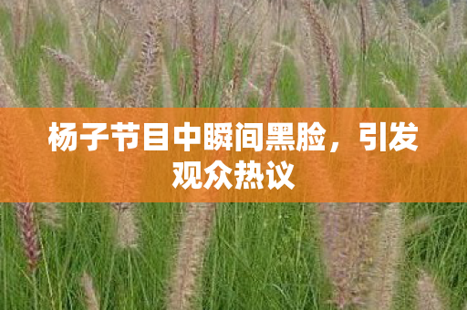 杨子节目中瞬间黑脸，引发观众热议