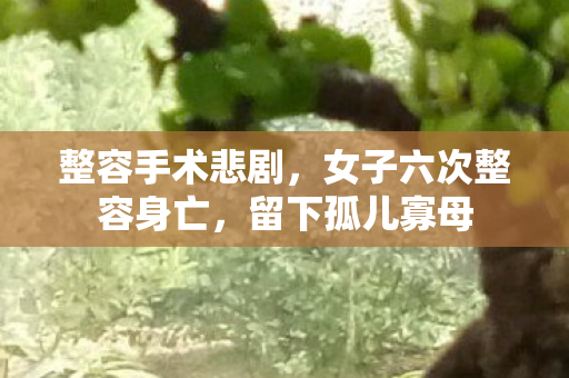 整容手术悲剧，女子六次整容身亡，留下孤儿寡母