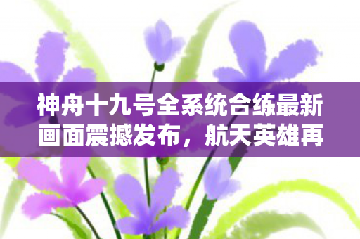 神舟十九号全系统合练最新画面震撼发布，航天英雄再启新征程
