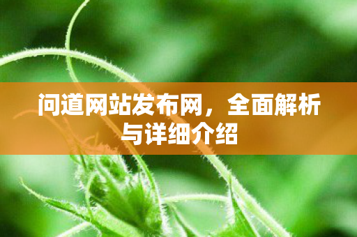 问道网站发布网，全面解析与详细介绍